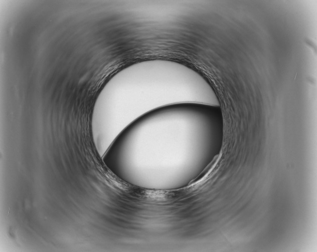 X0000095510144200712140943