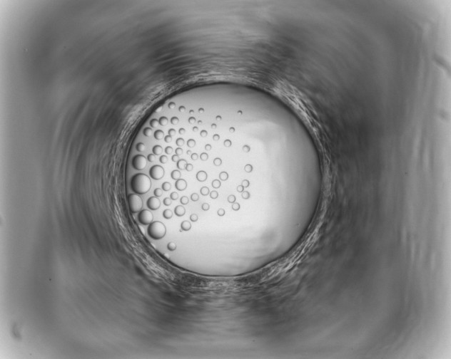 X0000095510145200712140942