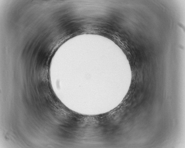 X0000095510146200712140942