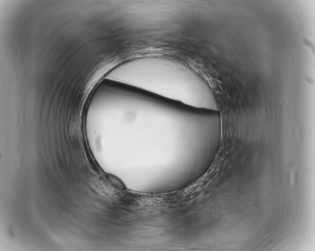X0000095510147200712140942