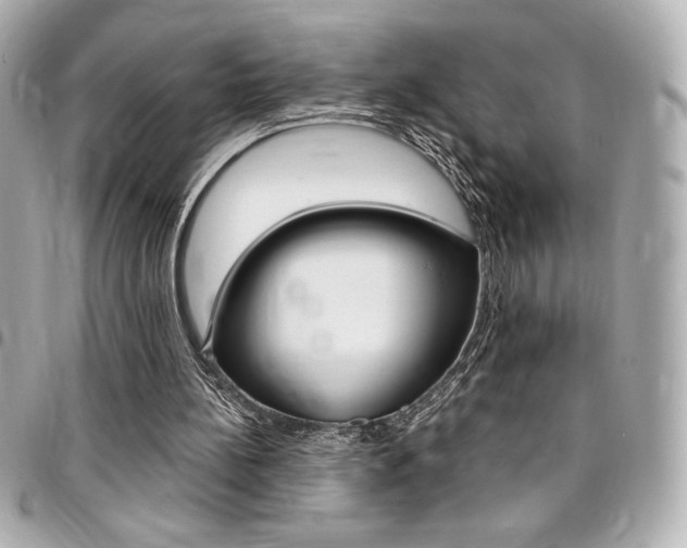 X0000095510148200712140942