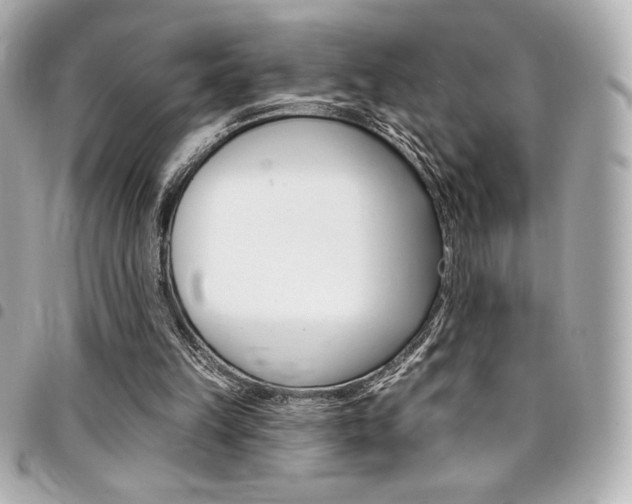 X0000095510149200712140942