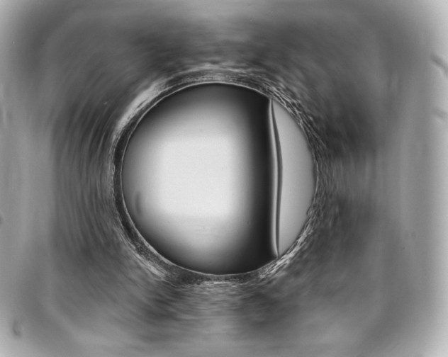 X0000095510150200712140942