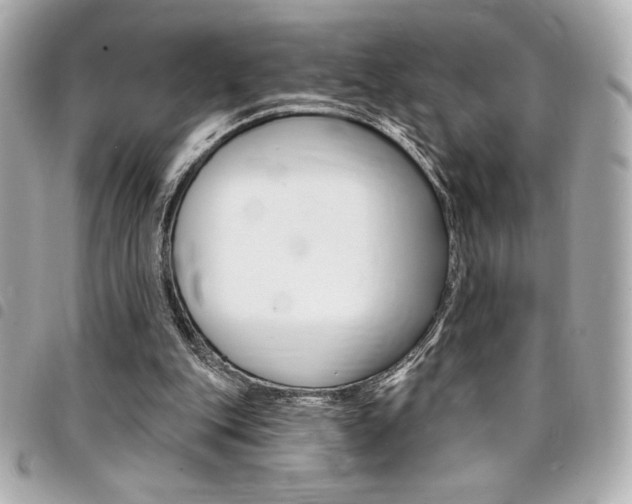 X0000095510151200712140942