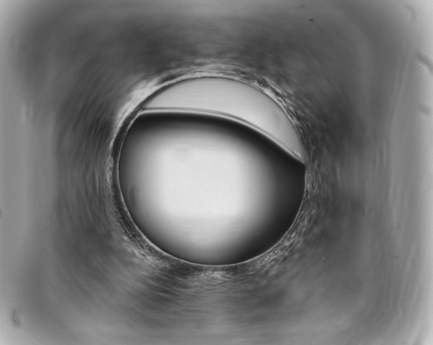 X0000095510152200712140942
