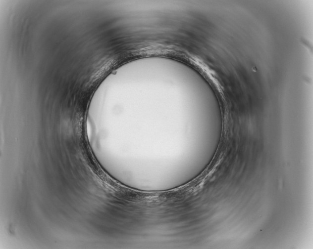 X0000095510153200712140942
