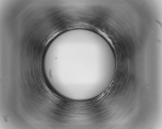 X0000095510154200712140942