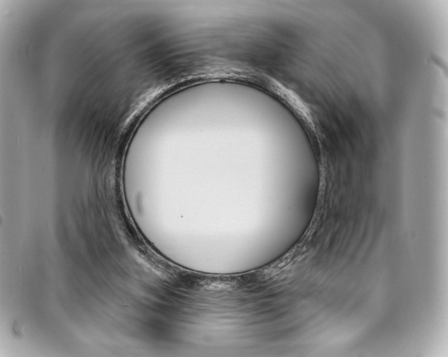 X0000095510155200712140942