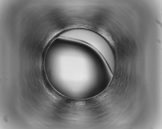 X0000095510156200712140942