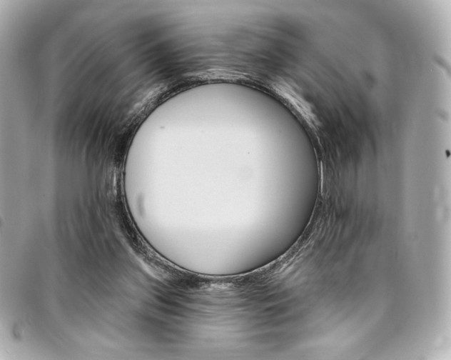 X0000095510157200712140942