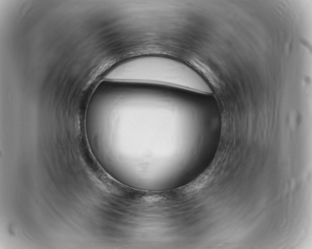 X0000095510158200712140942