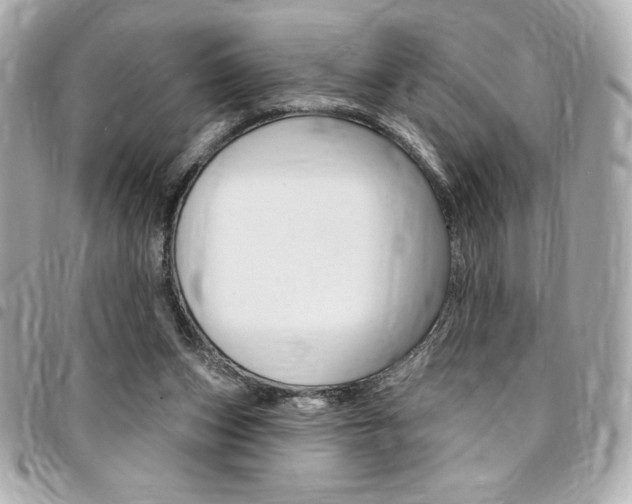 X0000095510159200712140942