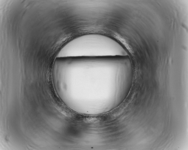 X0000095510161200712140942
