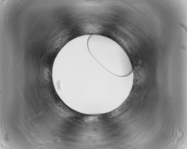 X0000095510162200712140942