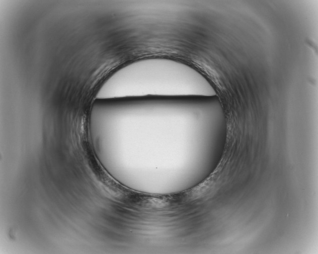 X0000095510166200712140942