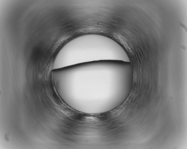 X0000095510167200712140942