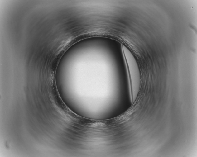 X0000095510168200712140942