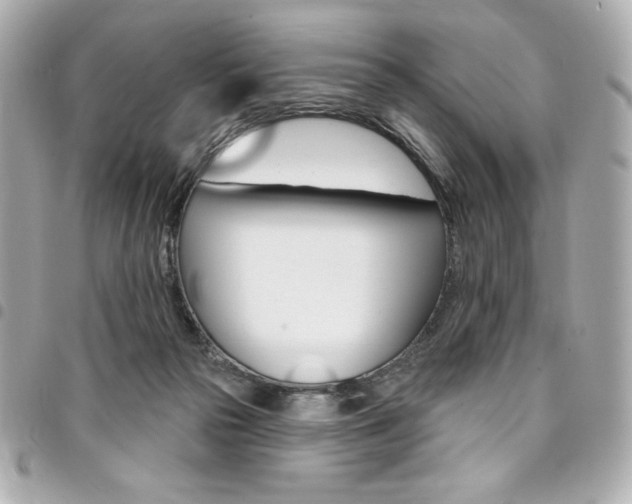 X0000095510169200712140942