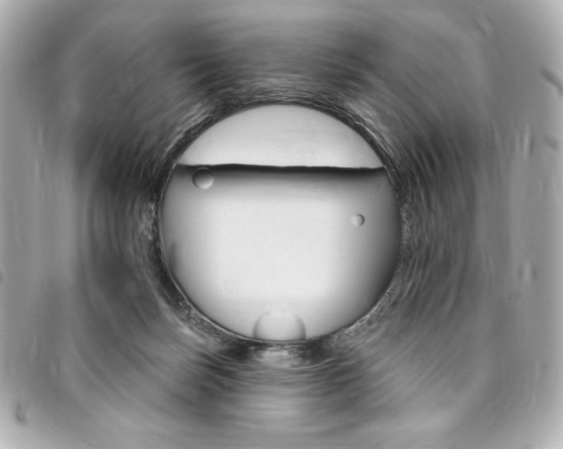 X0000095510171200712140942