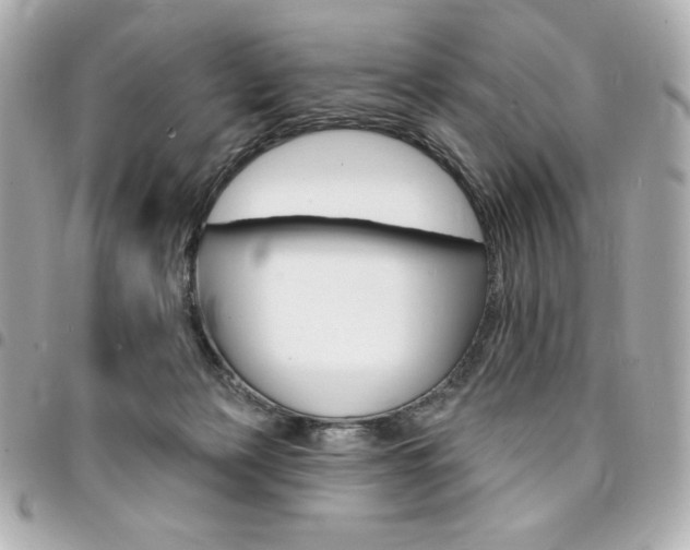 X0000095510173200712140943
