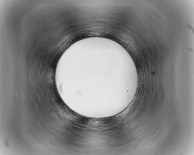 X0000095510174200712140943