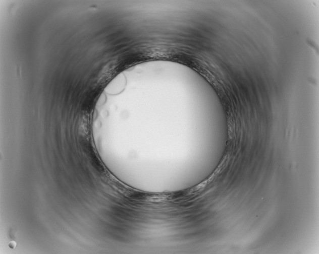 X0000095510175200712140943