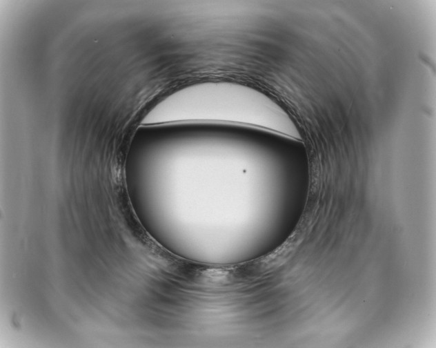 X0000095510176200712140943