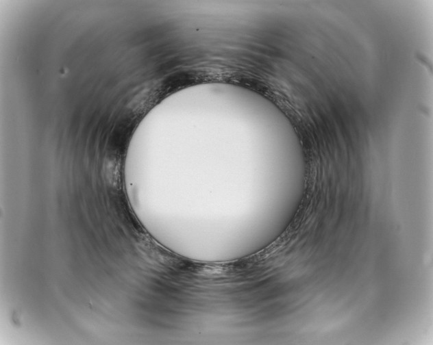 X0000095510177200712140943