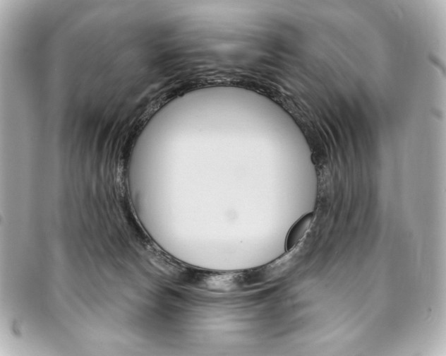 X0000095510178200712140943