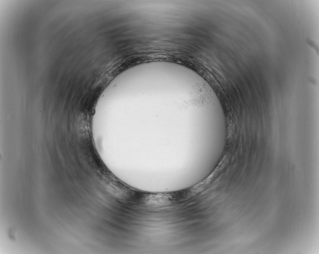 X0000095510179200712140943