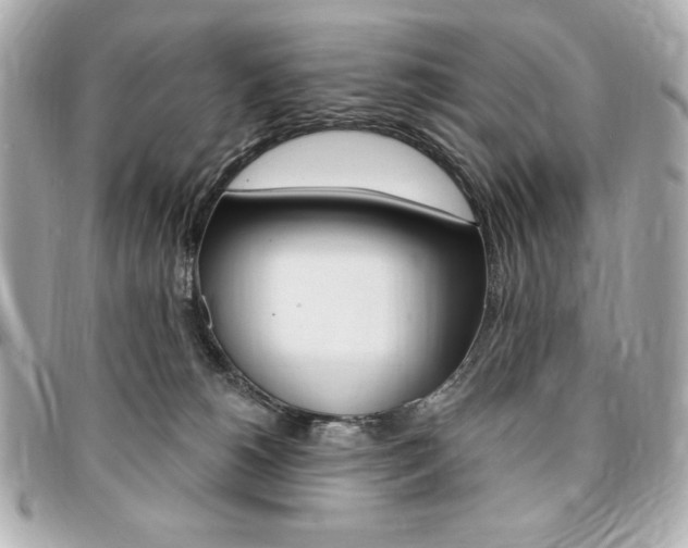 X0000095510180200712140943