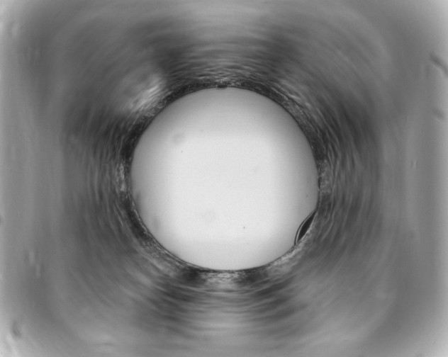 X0000095510182200712140943