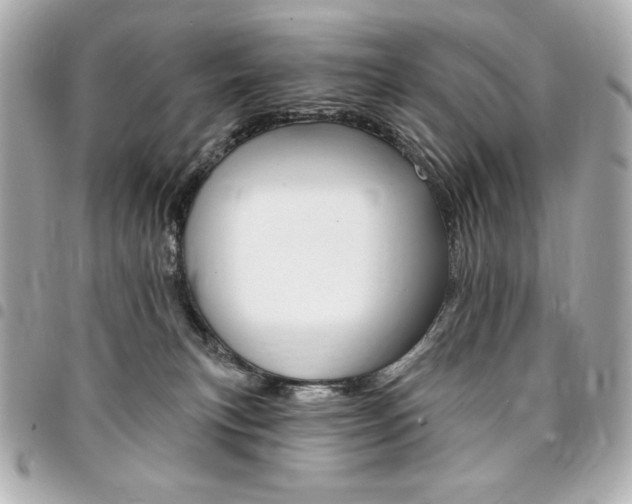 X0000095510183200712140943
