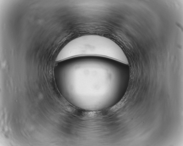 X0000095510184200712140943