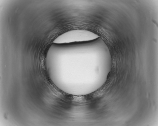 X0000095510185200712140943