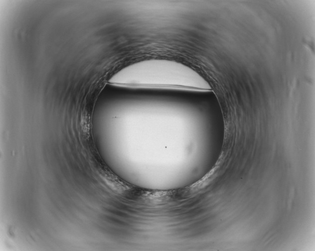 X0000095510186200712140943
