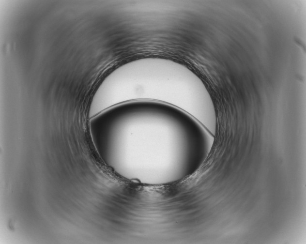 X0000095510188200712140943