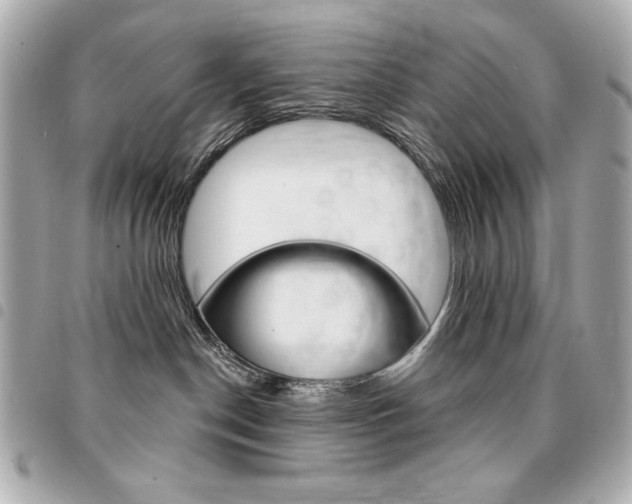 X0000095510190200712140943