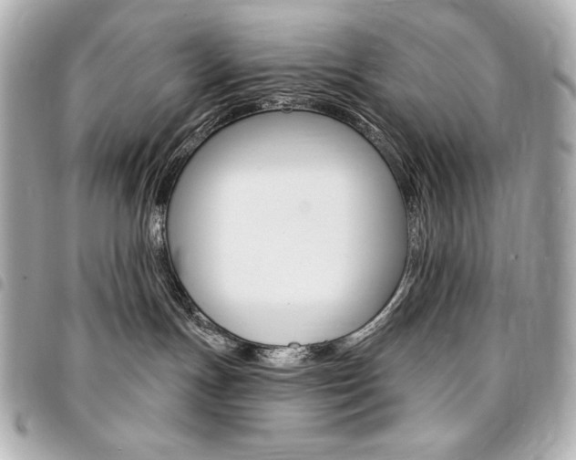 X0000095510191200712140943