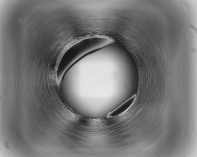 X0000095510192200712140943