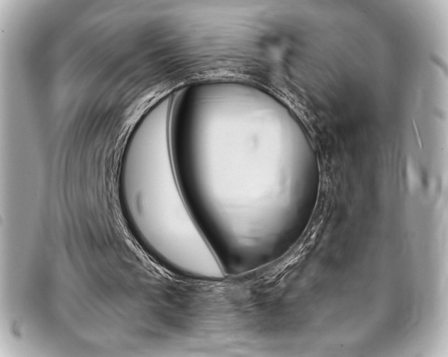 X0000095510193200712140942