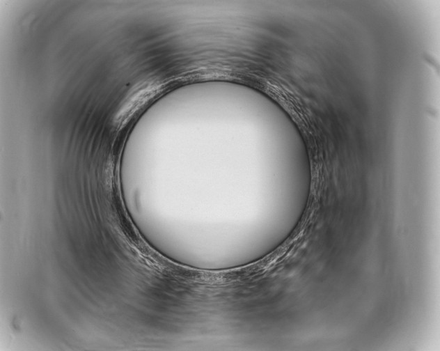 X0000095510194200712140942
