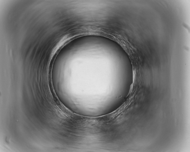X0000095510195200712140942