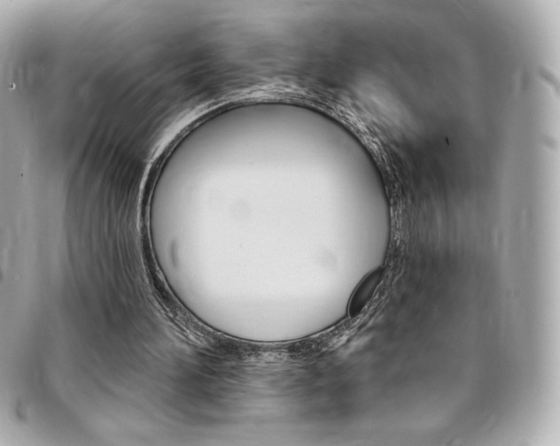 X0000095510196200712140942