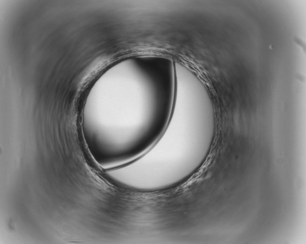 X0000095510197200712140942