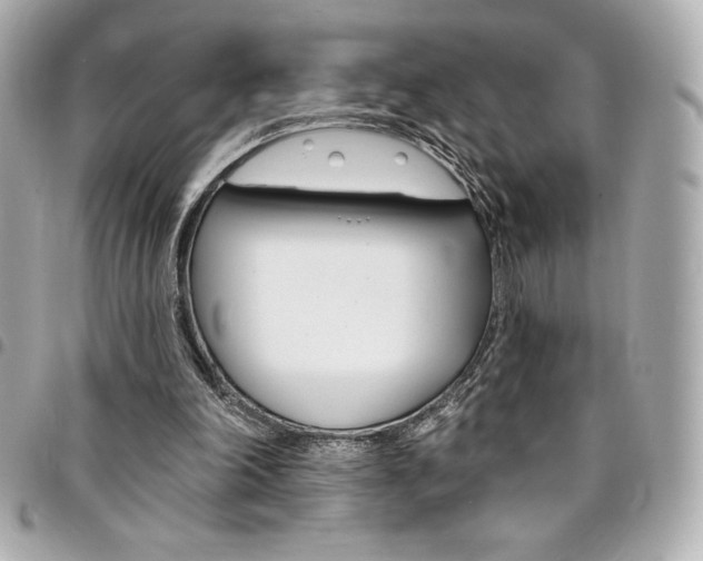 X0000095510198200712140942