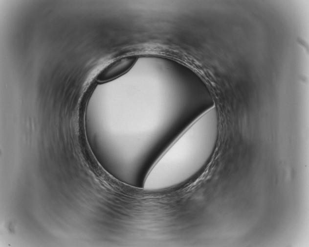 X0000095510200200712140942