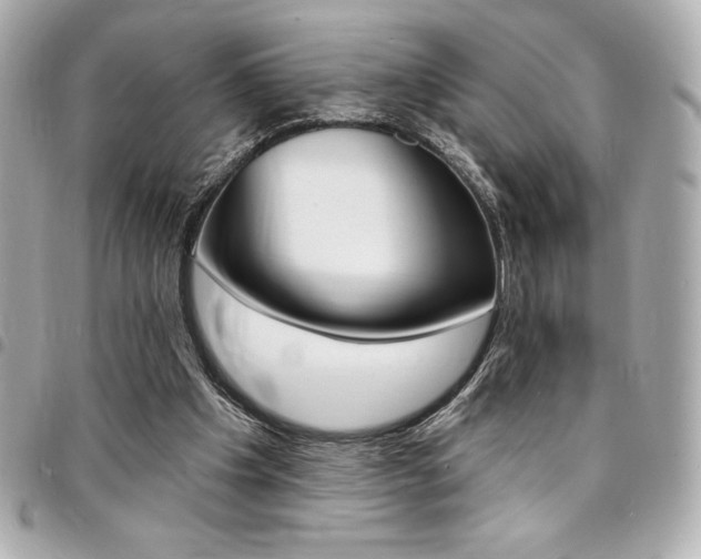X0000095510201200712140942