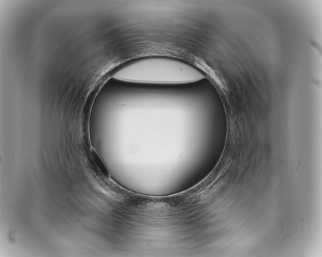 X0000095510203200712140942