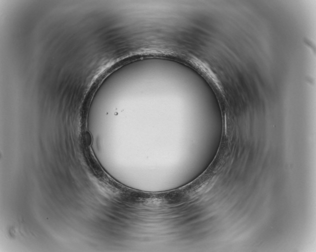 X0000095510204200712140942
